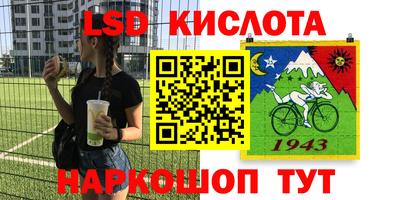кокс Можга