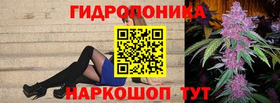 кокс Можга